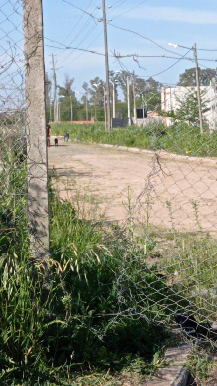 Saqueos en barrio del Procrear y bronca vecinal