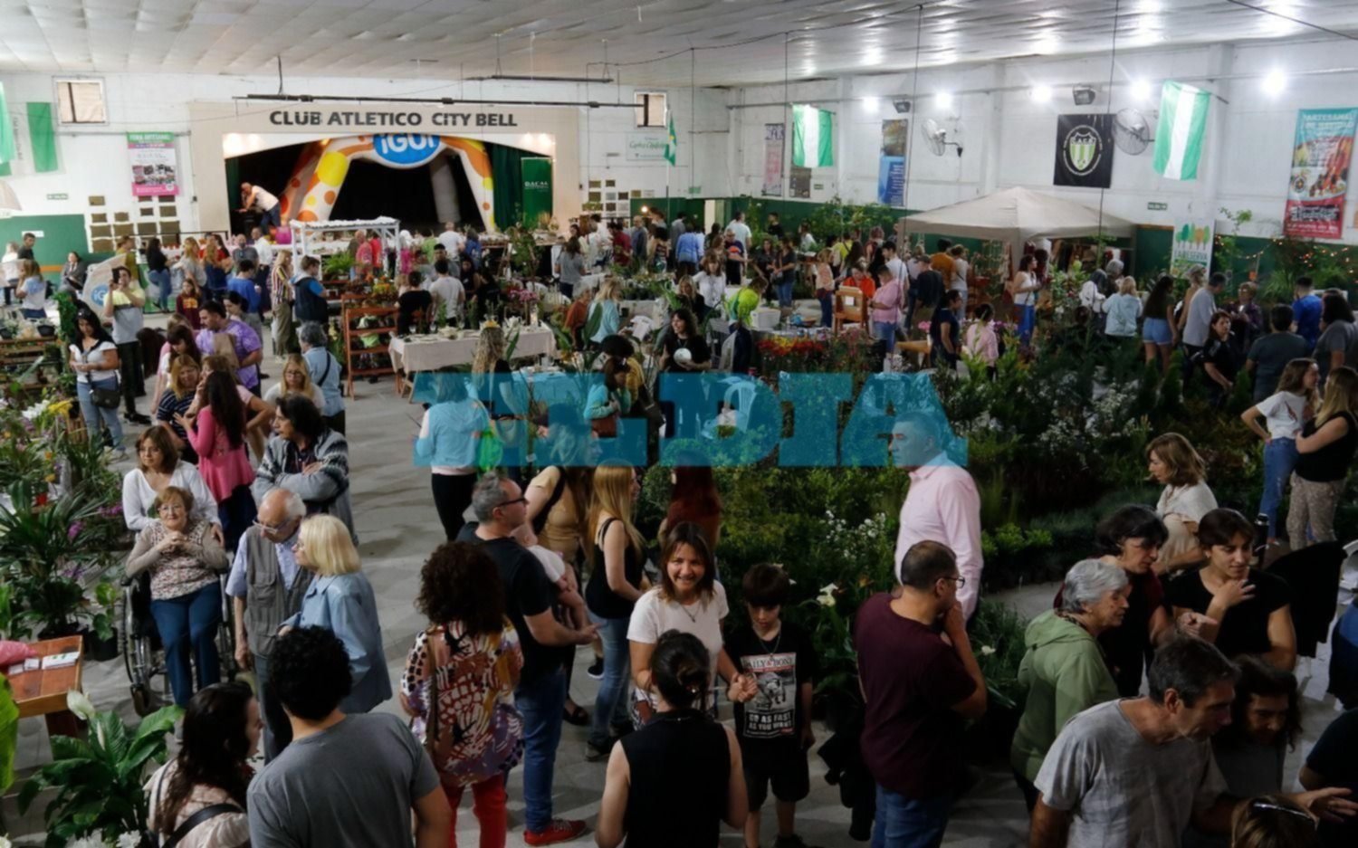 FOTOS | Cierra la expo “Vivero, plantas, flores y decoración” en City Bell