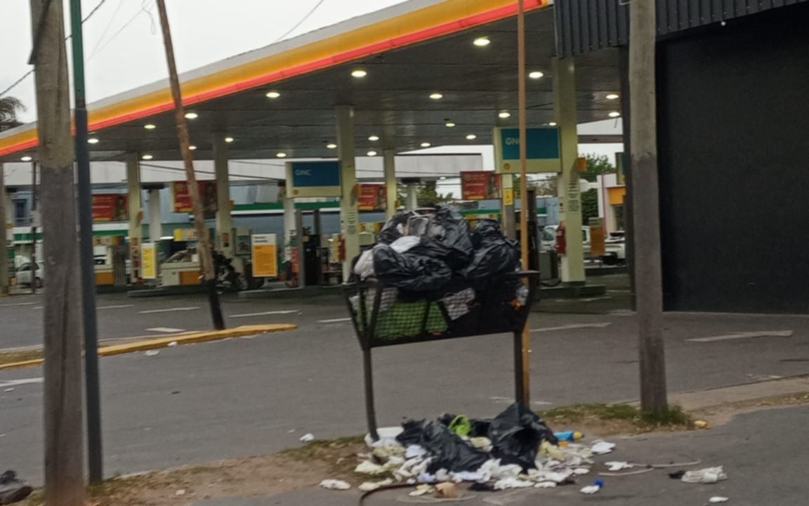 Vecinos de un barrio platense reclaman por un basural: "Empeora y atrae bichos"