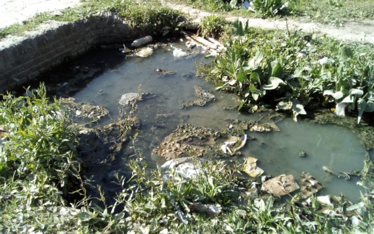 Reclamos por limpieza en zanjones de Berisso