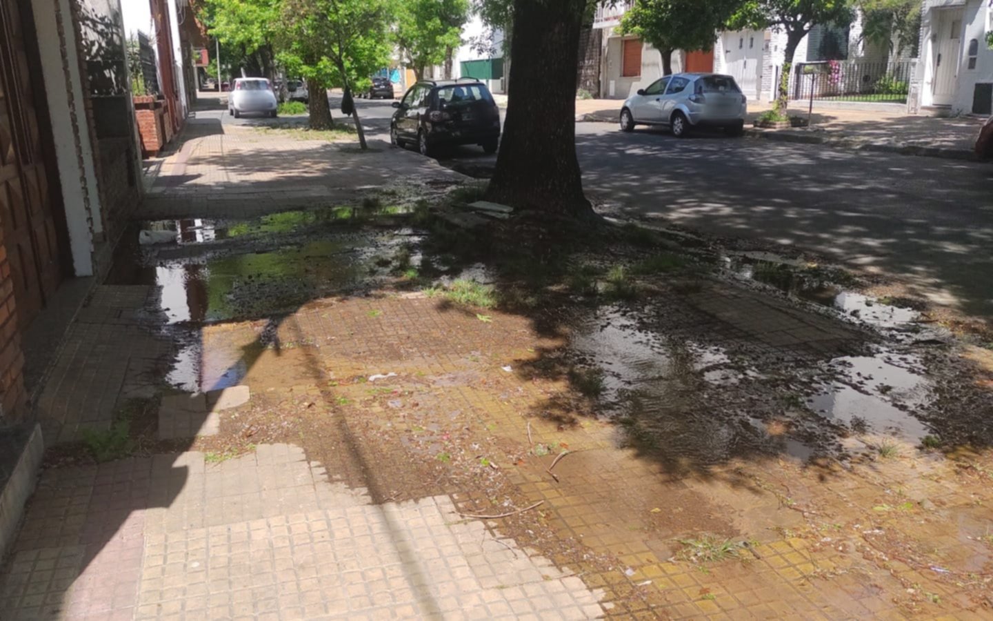 Pérdida de agua en Barrio Norte cumple 15 días sin solución