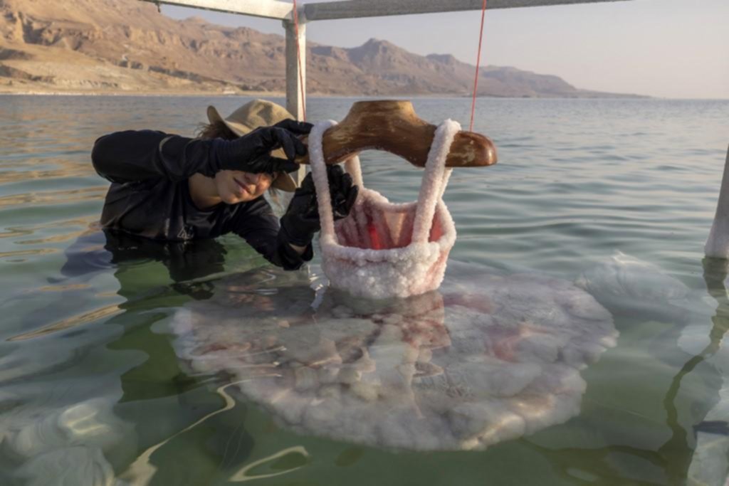 Las esculturas de una artista israelí en el mar Muerto