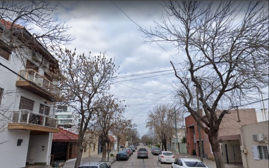 Vecinos de Barrio Norte reclaman la poda de árboles en la cuadra