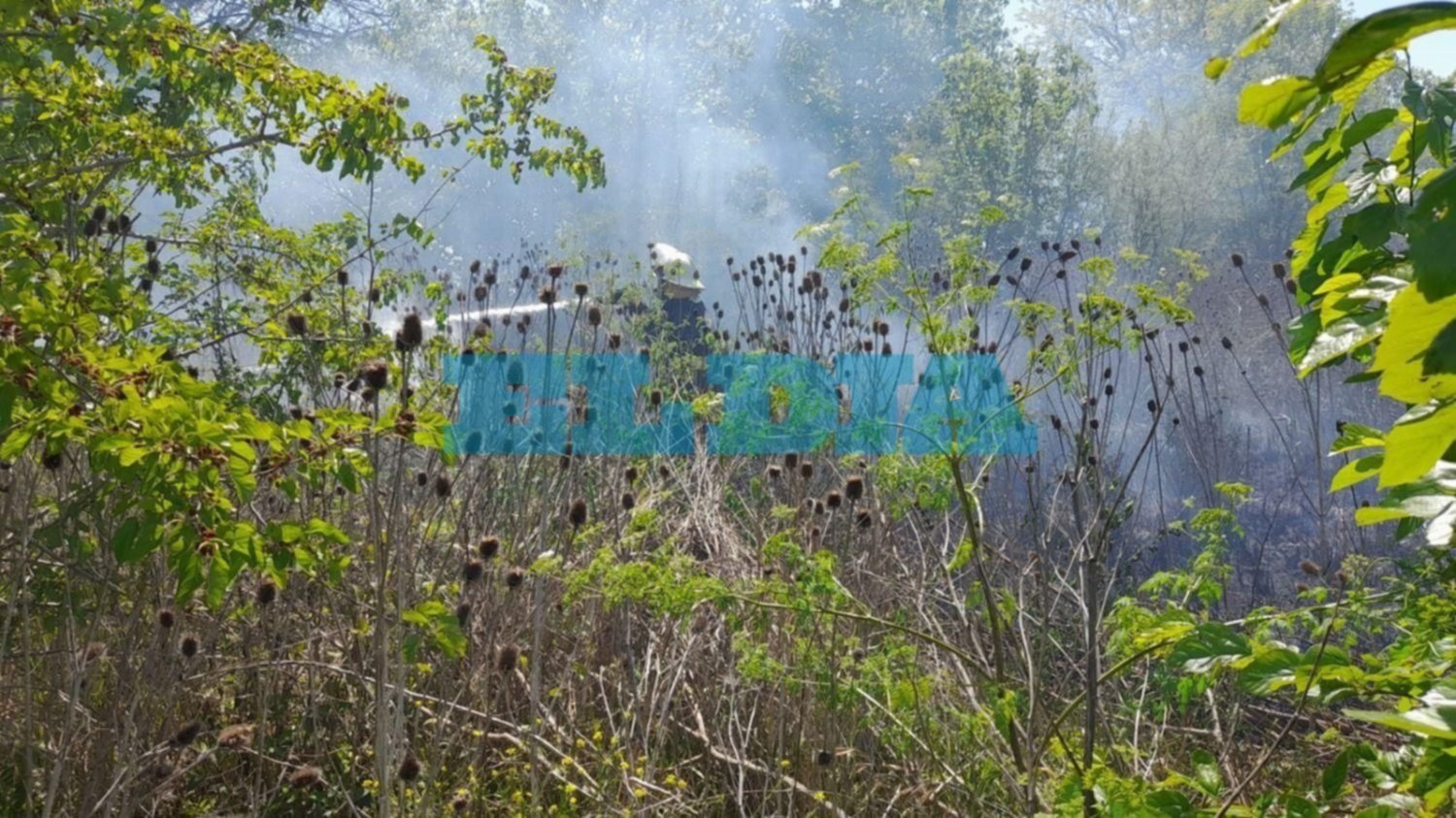 Alarma por un incendio en Gonnet: advierten por casas y un colegio en riesgo