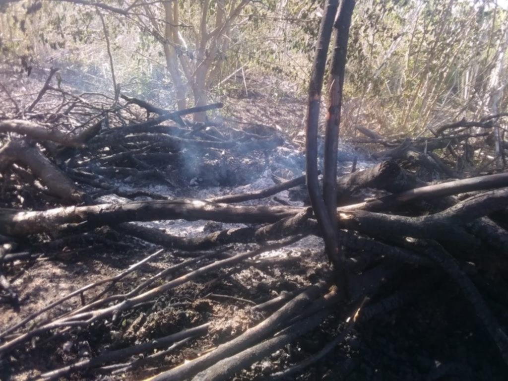 Vecinos de Gonnet en vilo por un incendio forestal