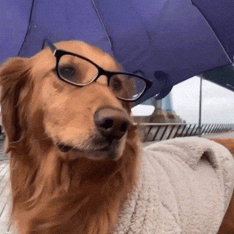 Anuncian tormentas en La Plata para este jueves: cómo sigue el clima