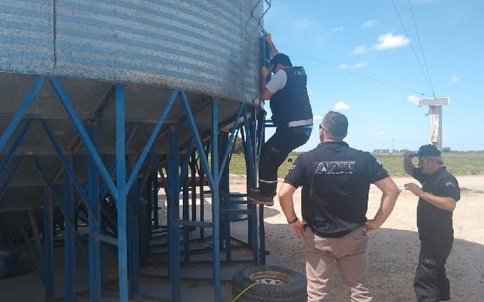 Detectan más de 900 toneladas de maíz "en negro" en un feedlot