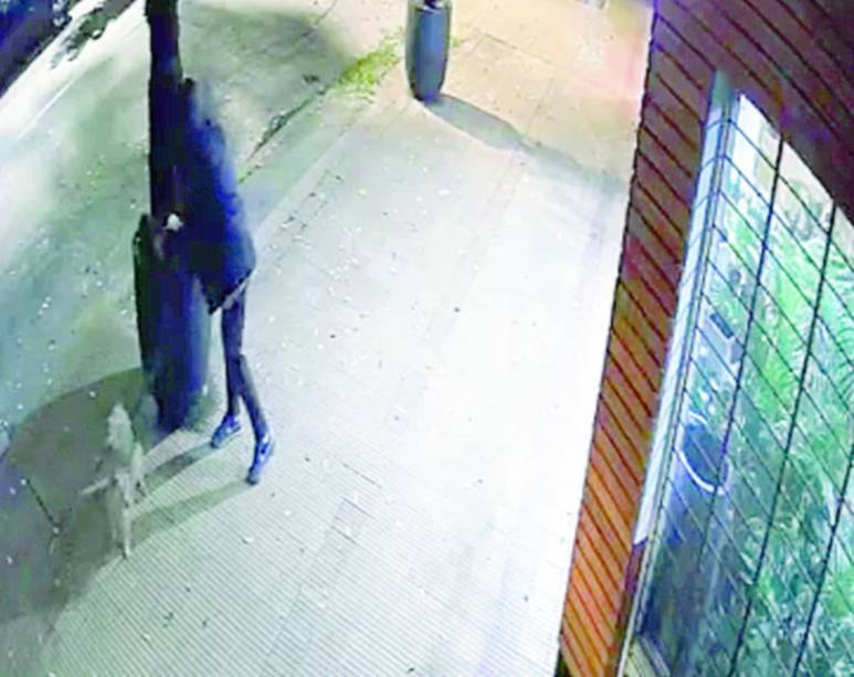 Ni los cactus se salvan de la inseguridad en La Loma