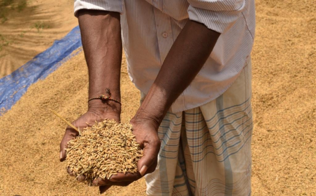 Comunidad: los agricultores de Sri Lanka luchan para sobrevivir