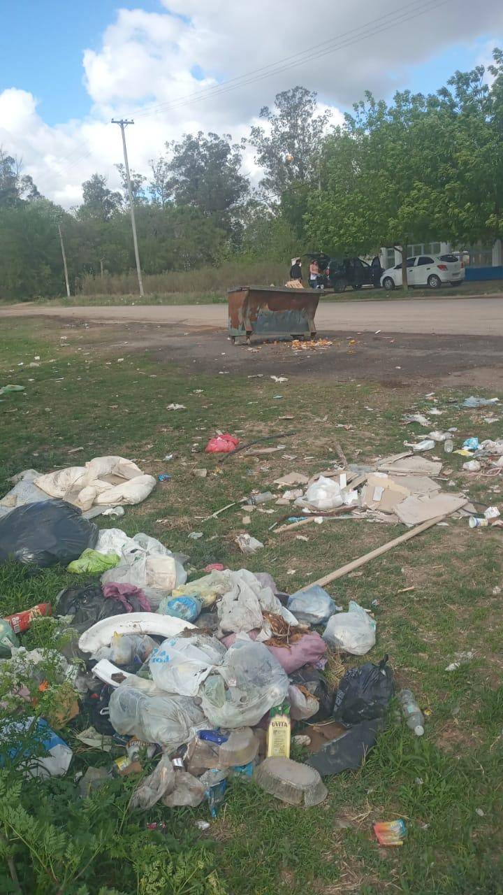 Frente a una escuela, bolsas de residuos por todos lados