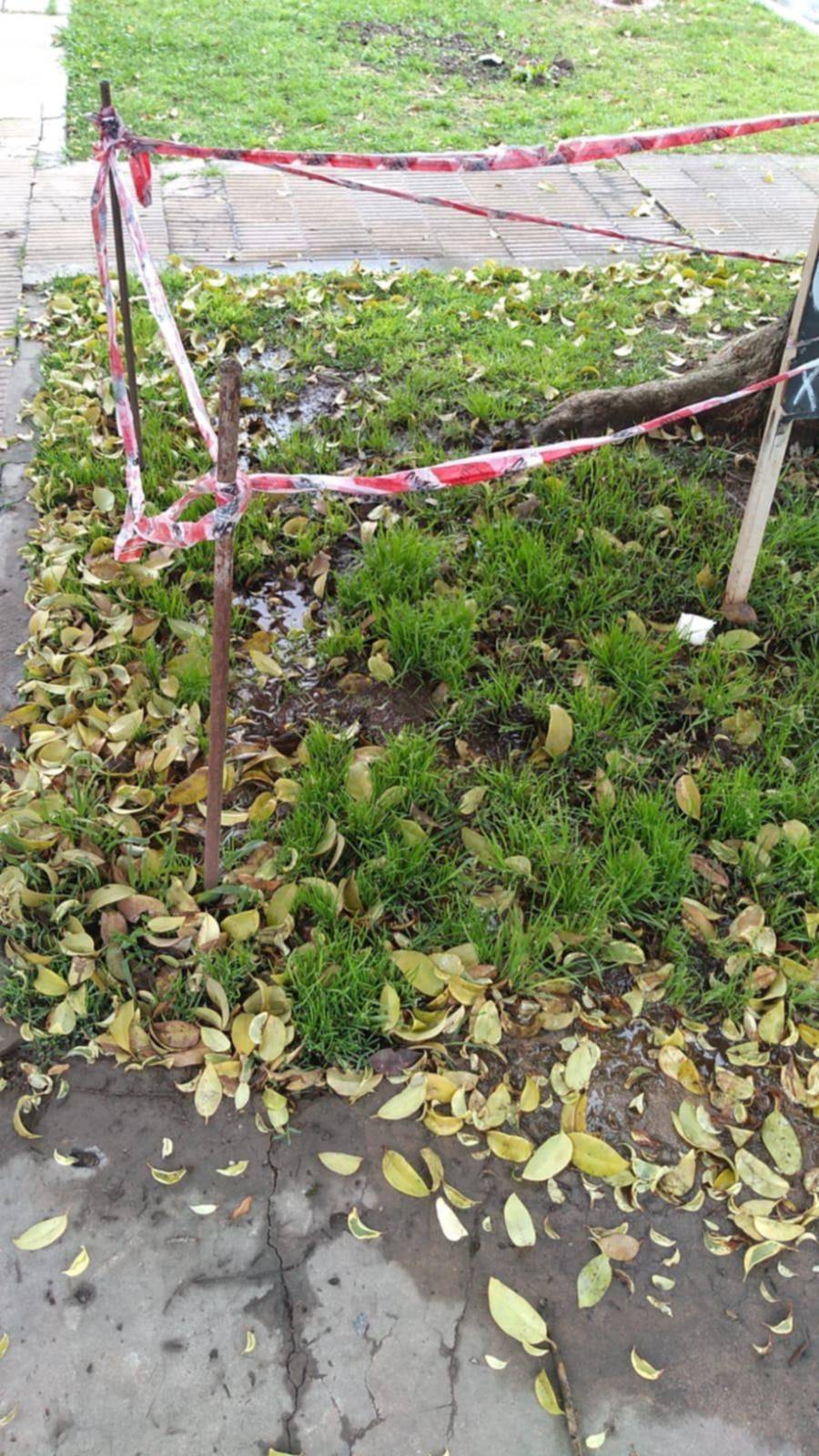 Reclamo por una pérdida de agua en Los Hornos