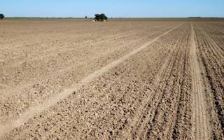 Carbap: "Por la sequía, hay distritos que ya están solicitando ser declarados en emergencia"