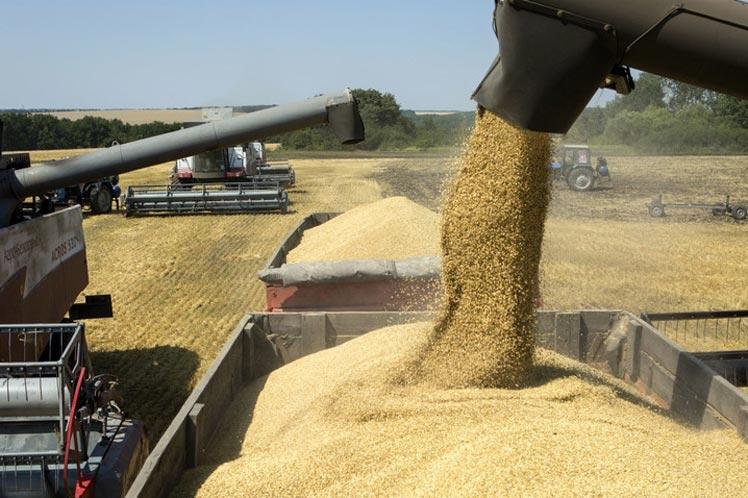 Rusia atenta contra la “comida de millones” y la cosa se pone picante