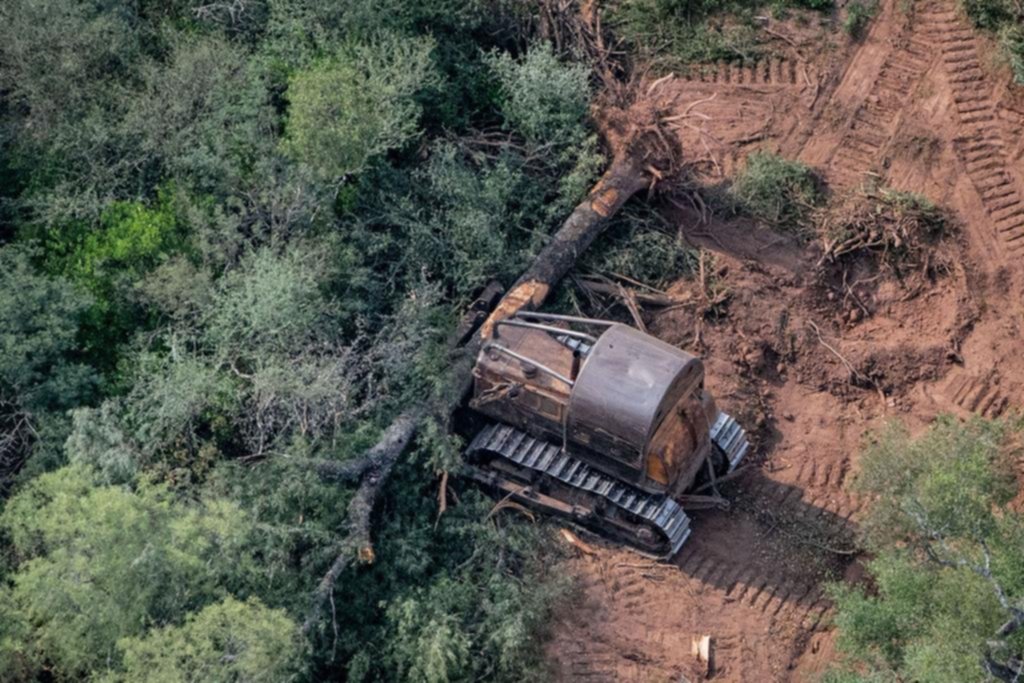 Ecología: el compromiso ambiental, una ola que crece