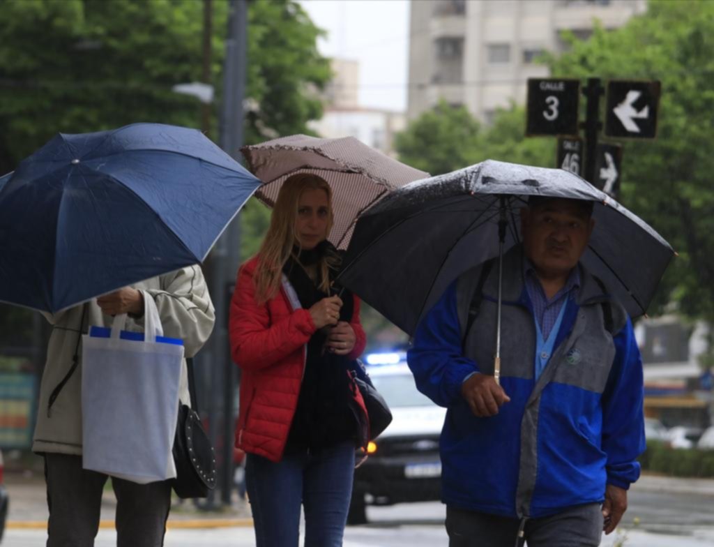 La Plata en imágenes: clima primaveral de locos