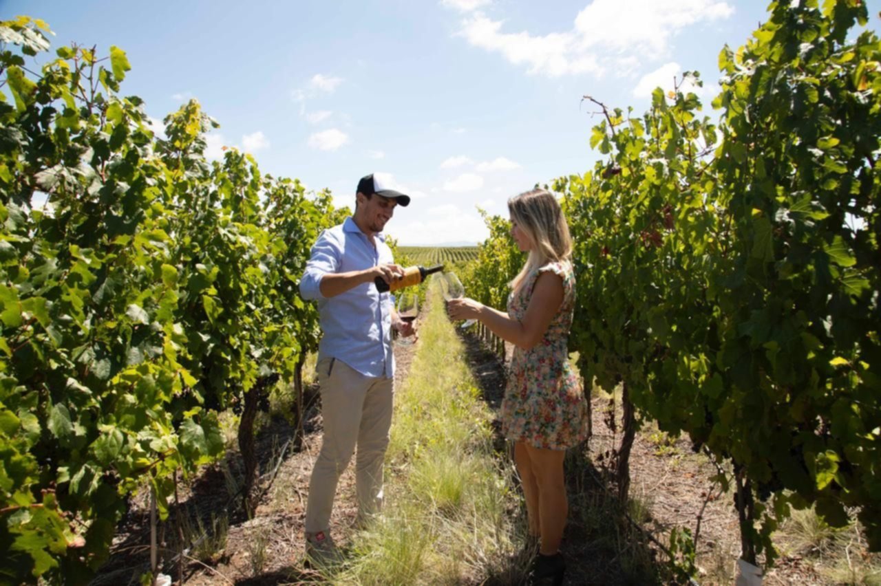 Nuevo vino de Vinos de Potrero