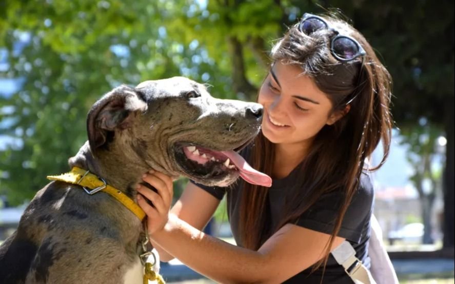 Los barrios de La Plata y los horarios en los que se instalarán las postas de atención veterinaria esta semana