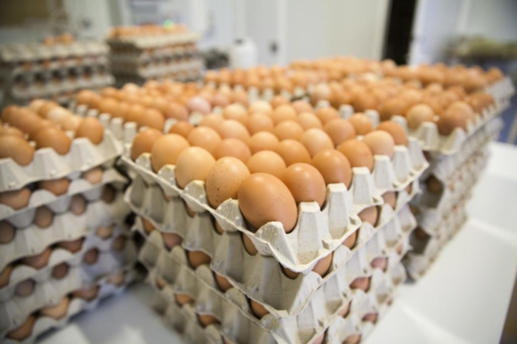 Argentina, tercera en el ranking de consumo de huevos en el mundo