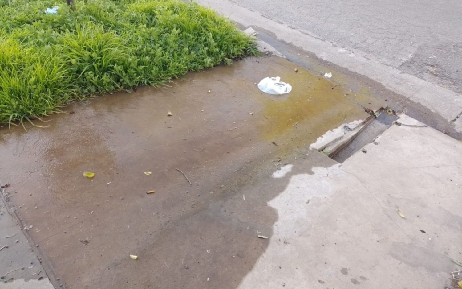 Pérdida de agua en un barrio de La Plata trae complicaciones a los vecinos