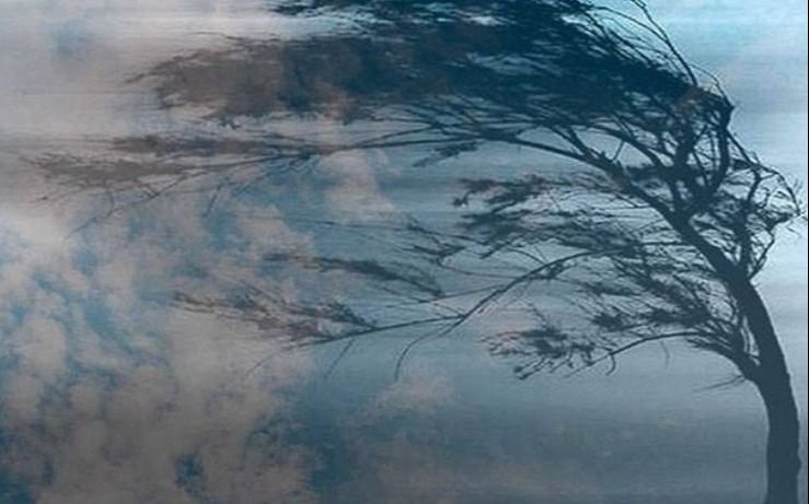 Hay alerta amarilla en la Provincia de Buenos Aires por vientos fuertes: a qué zona afecta, según el SMN