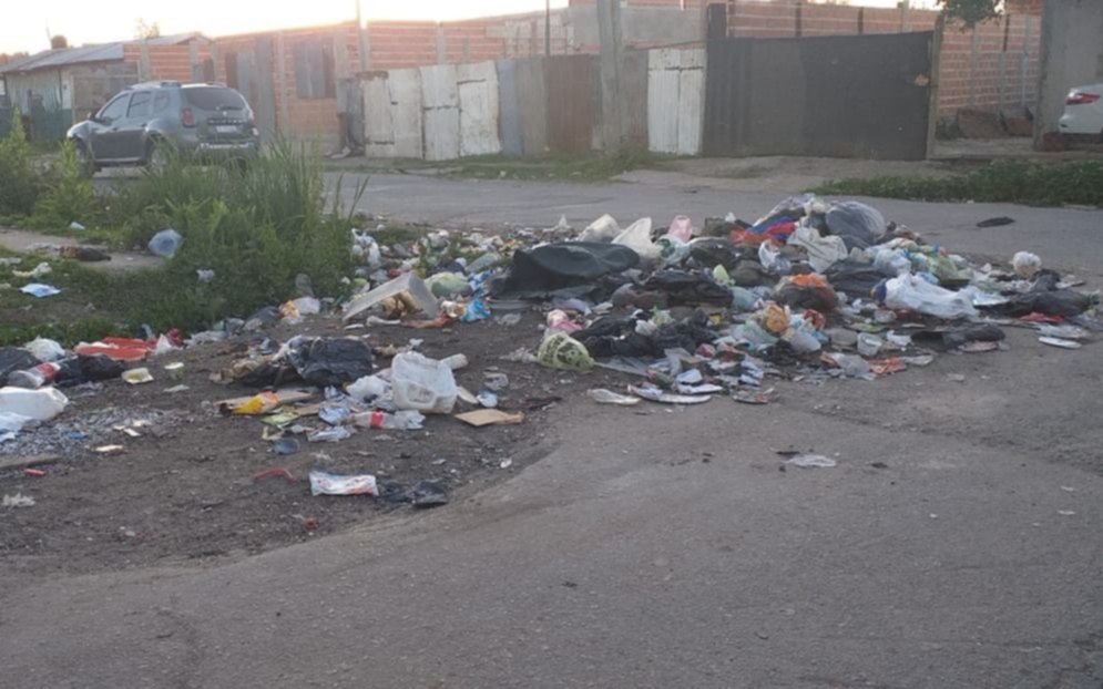 Vecinos de Villa Alba reclaman por la limpieza de un basural "a cielo abierto"