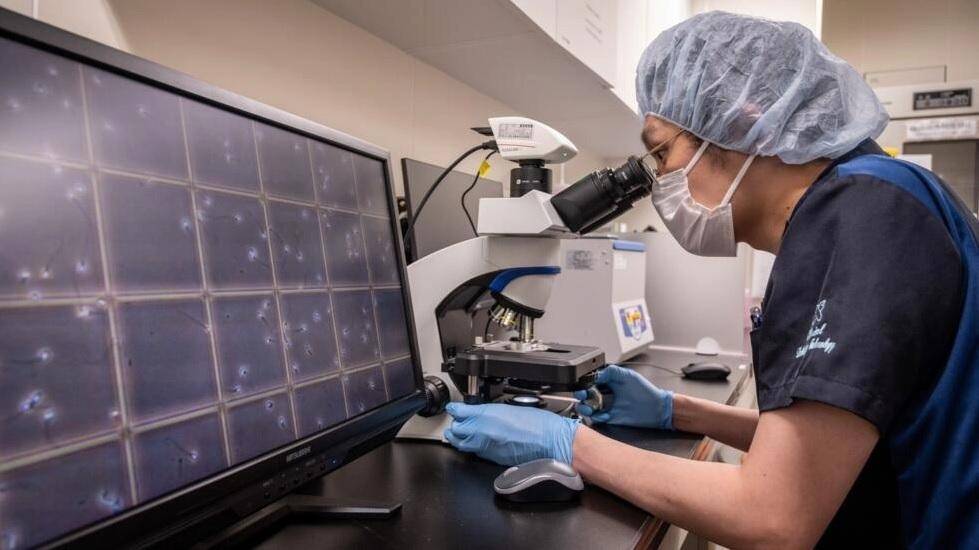 Jóvenes concebidos con donantes podrán conocer su identidad