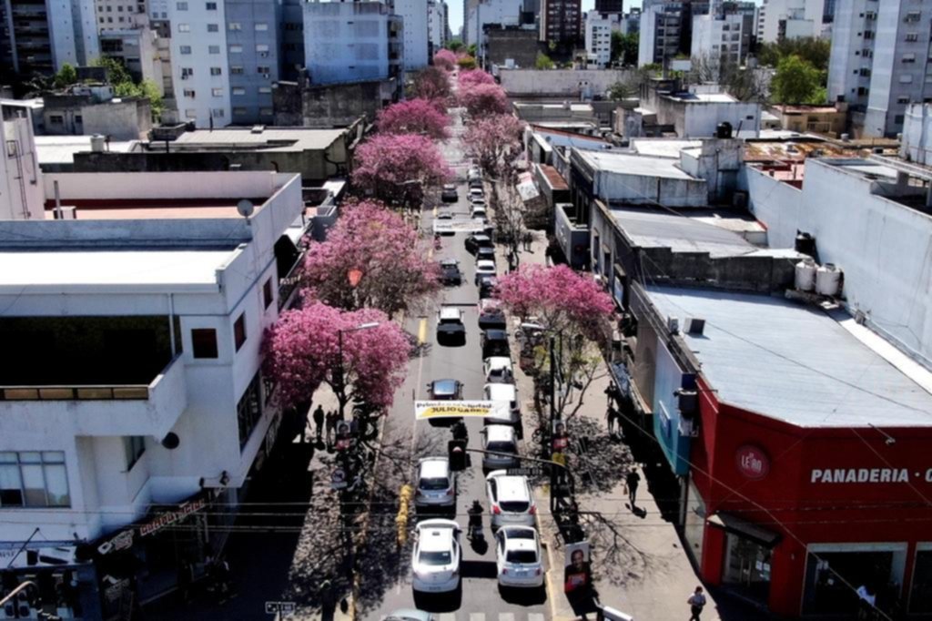 Con la primavera llegó a la Ciudad el regalo de los lapachos en flor