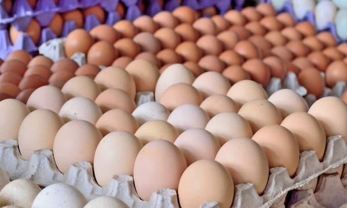 En 2023, cinco alimentos triplicaron el precio