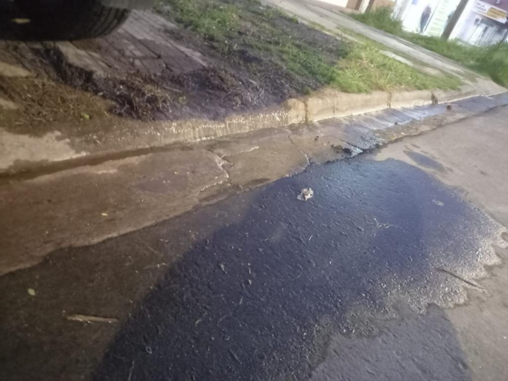 Una laguna que lleva tres meses en Barrio Jardín