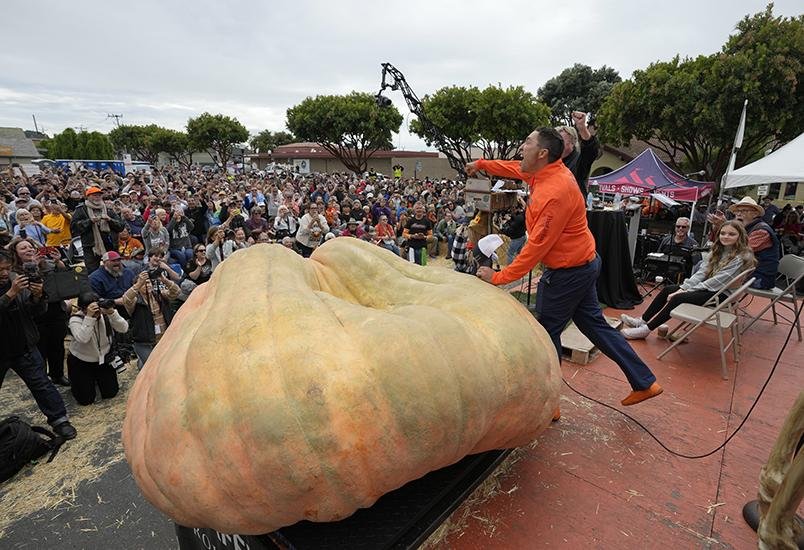 Una calabaza bate récords con un peso de 1.247 kilos