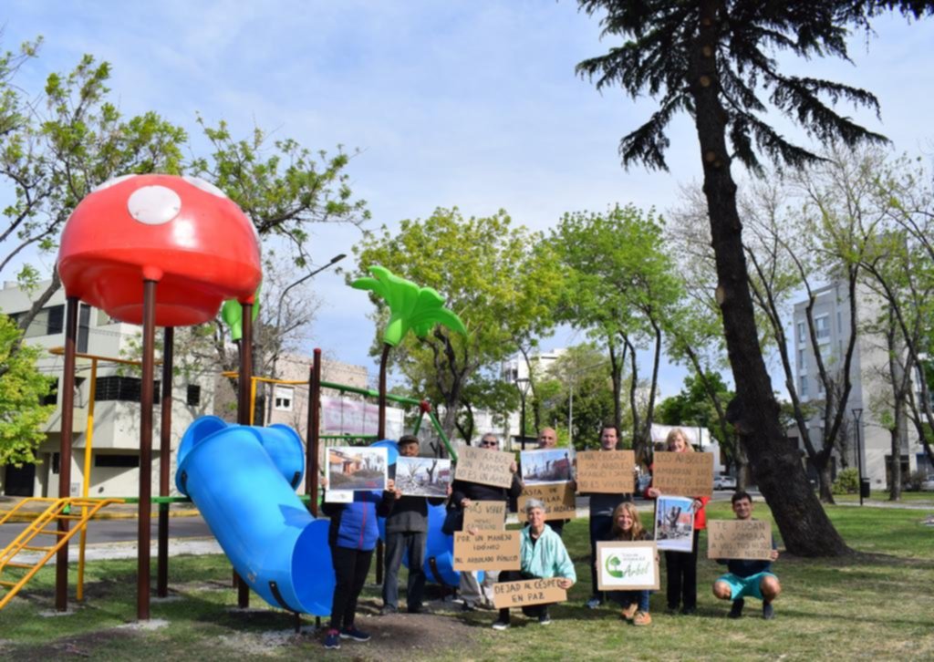 Tras la tala, dicen que “plantaron” palmeras de plástico en 25 y 44