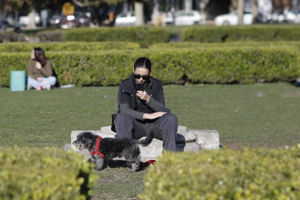 En el 65% de los hogares, la vida se comparte con un perro o un gato