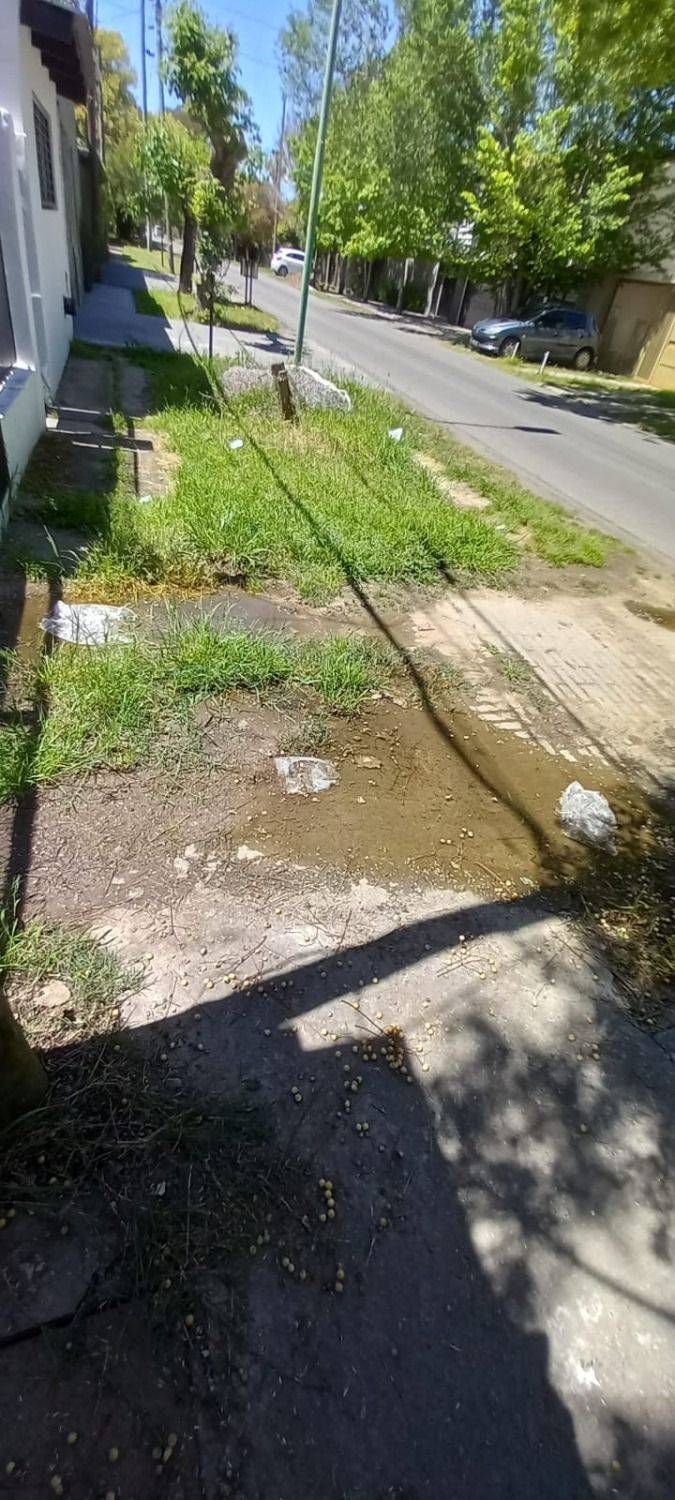 Sobran reclamos vecinales en un sector de Gonnet