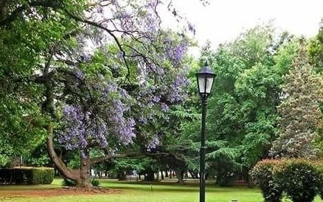 Viernes primaveral en Quilmes