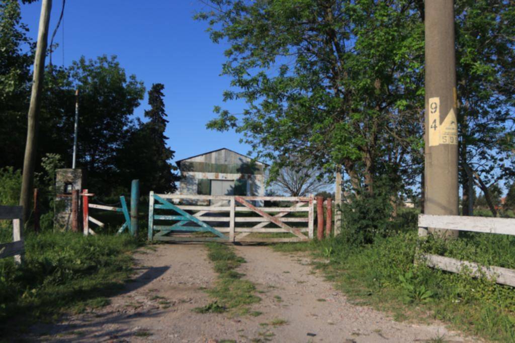 Robo y daños en local de insumos para el campo