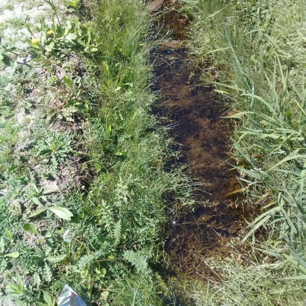Advierten sobre peligro sanitario en Arturo Seguí