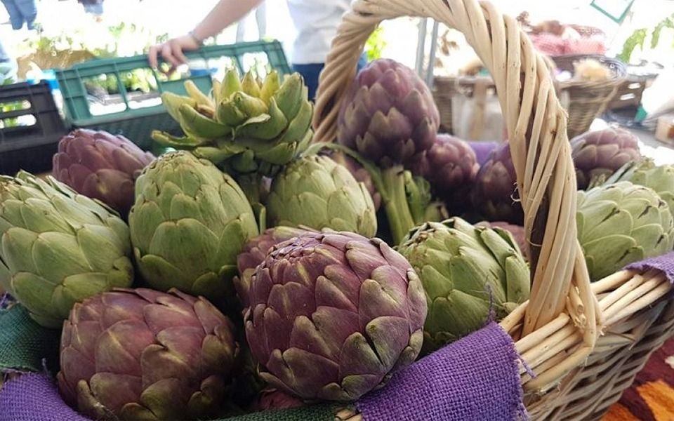 Por qué La Plata es la "Capital del alcaucil": se viene la 15° de la tradicional fiesta