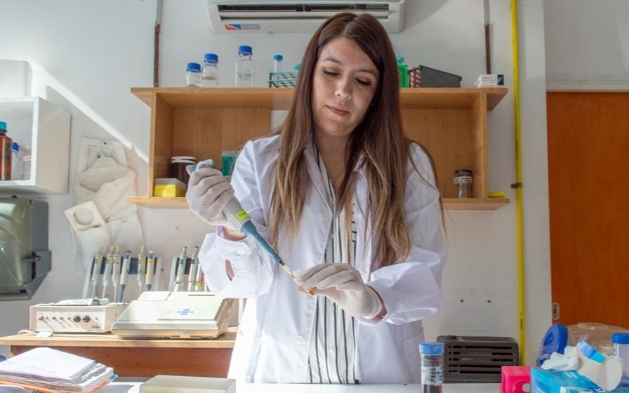 Científicos platenses comprobaron el beneficio del aceite de cannabis en hipertensos