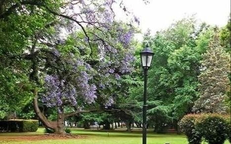 Viernes primaveral en Quilmes