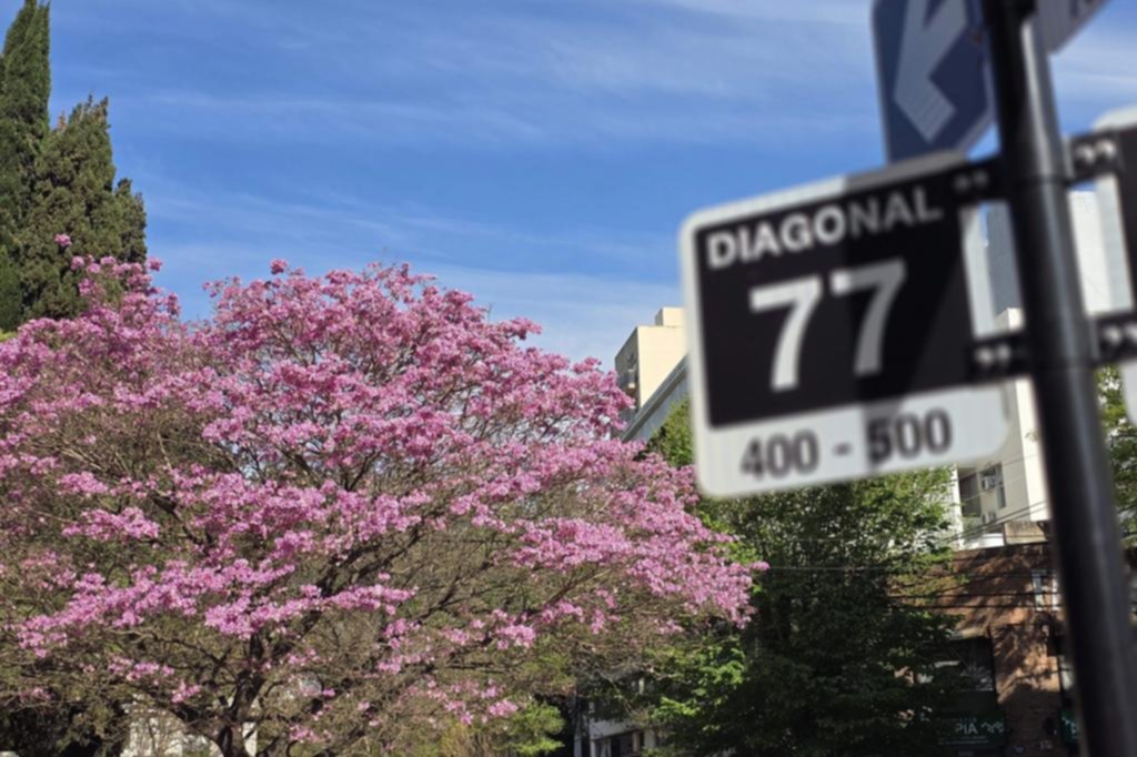 Empezó el show de los árboles: las temperaturas anticiparon la floración