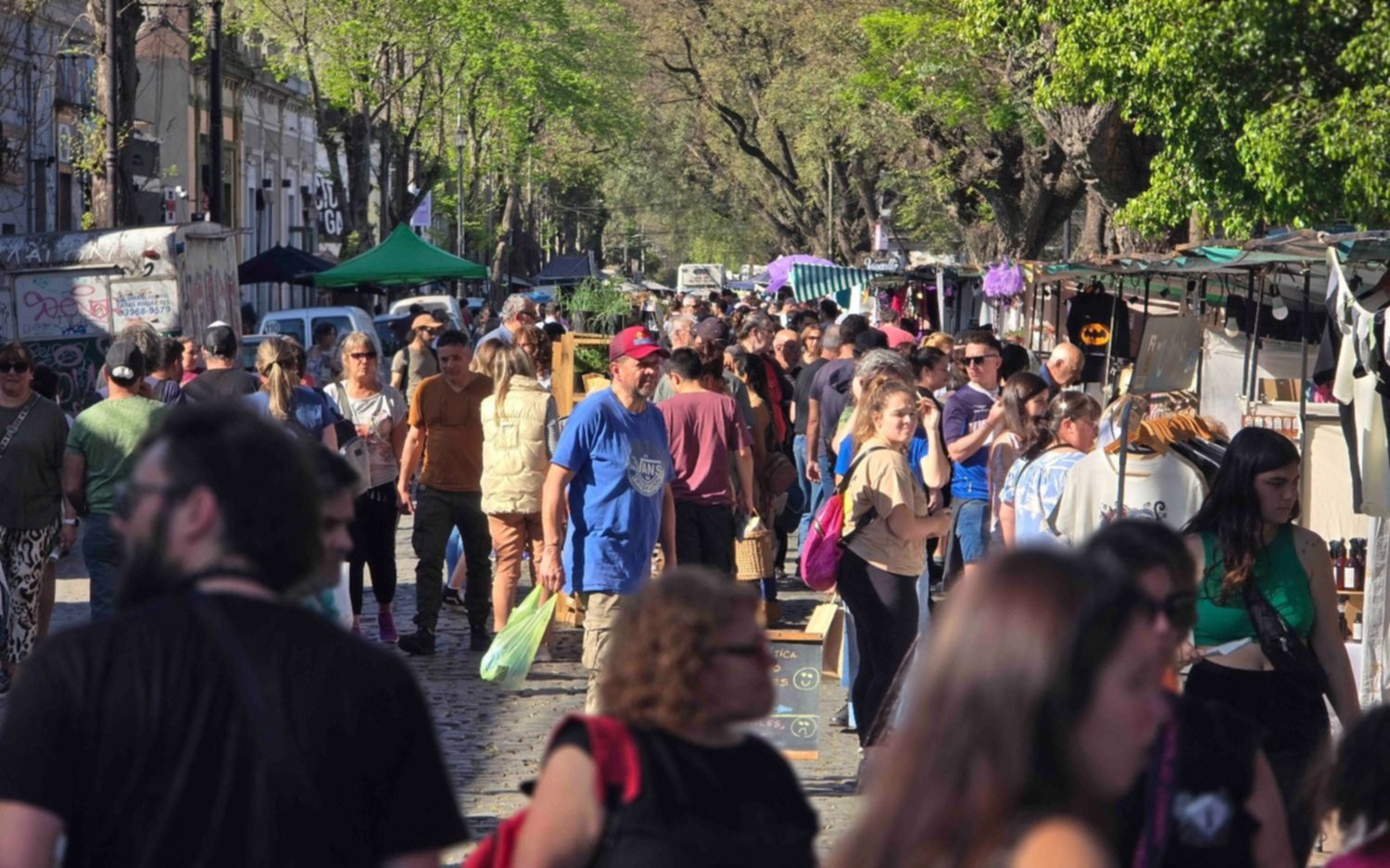 FOTOS | La Plata vive la 15º edición de la Fiesta del Alcaucil: cómo sigue este domingo