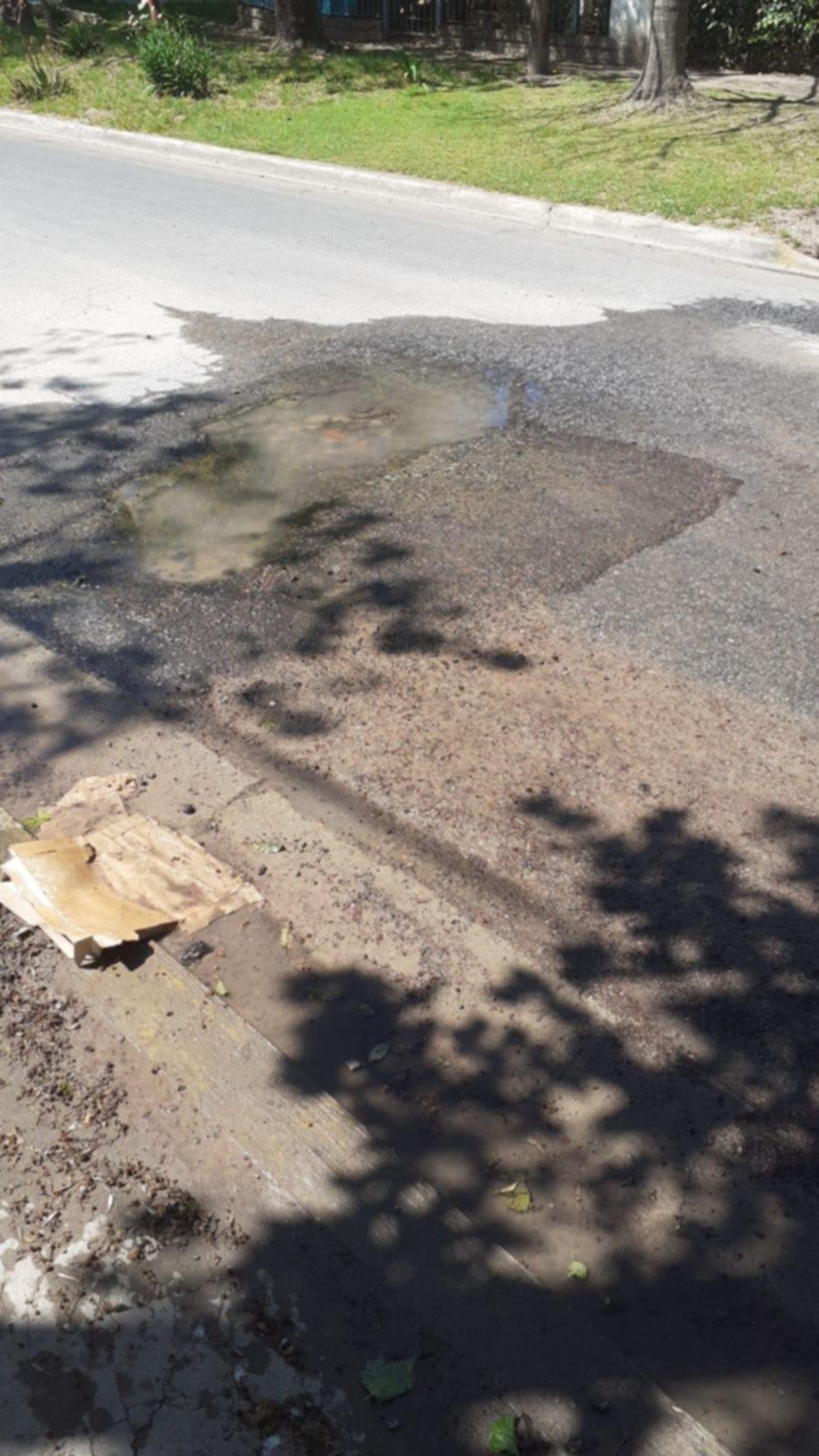 Vecinos de City Bell insisten con el pedido por un pozo enorme en la calle