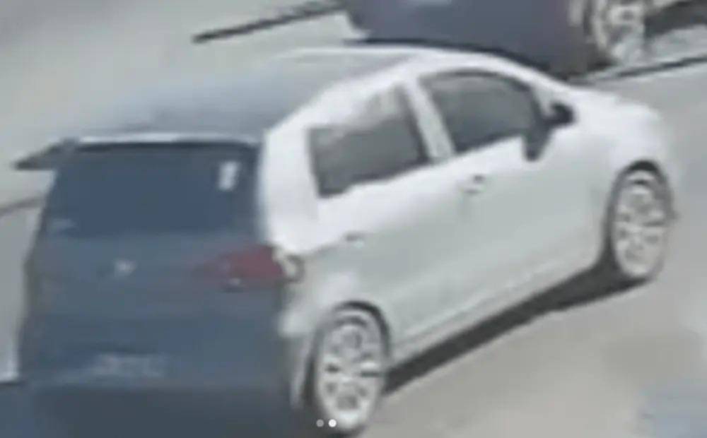 Con su auto mató a un perro y se dio a la fuga