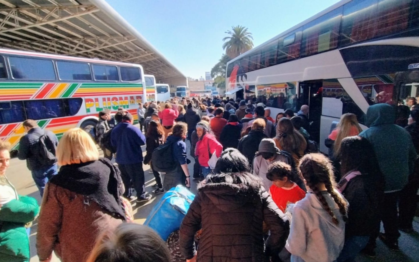 El Gobierno desregulará el transporte automotor de media y larga distancia