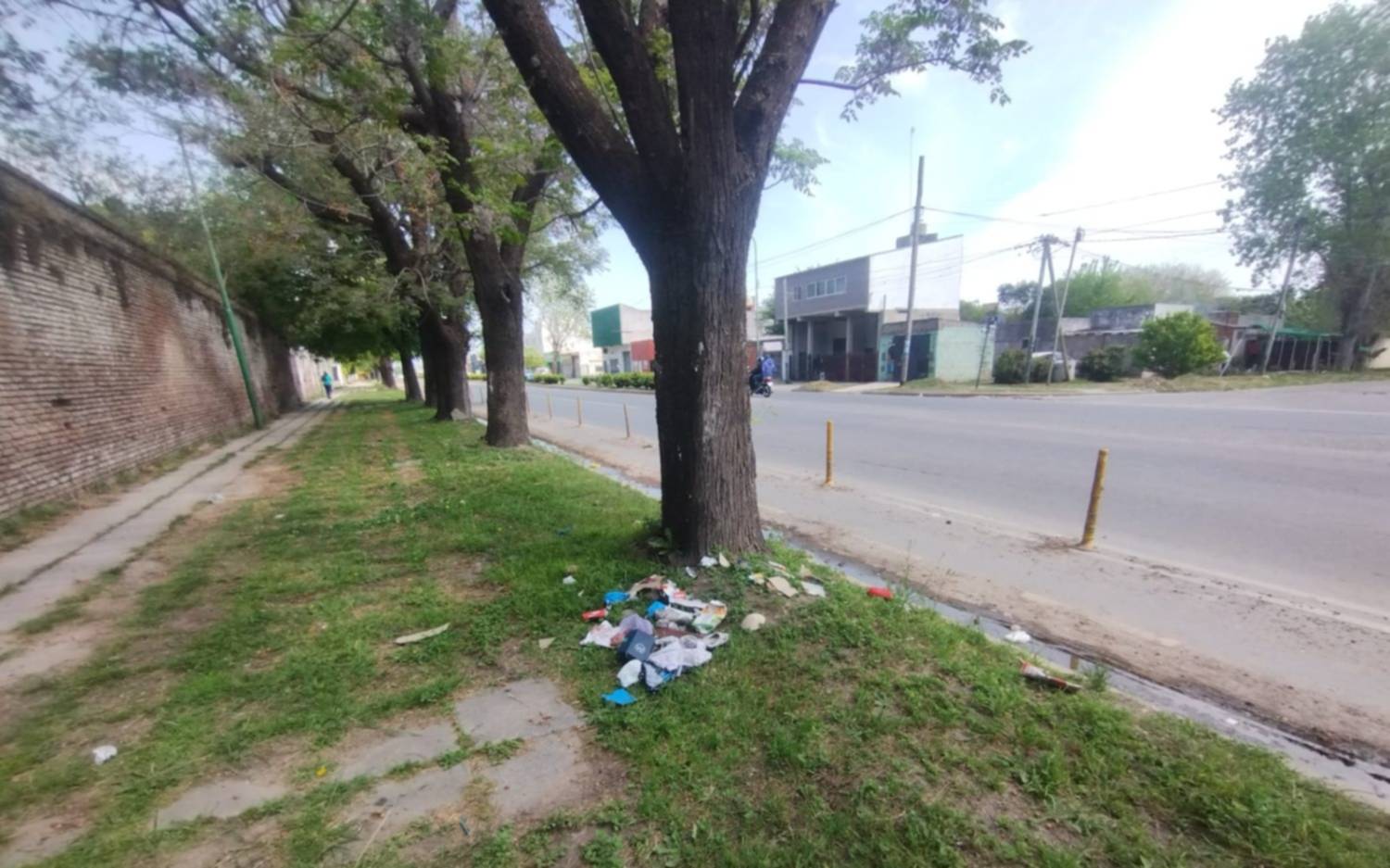 Conmoción en un barrio de La Plata tras la aparición de un feto entre la basura