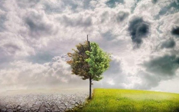 Siete de cada diez ecosistemas del mundo “están degradados”
