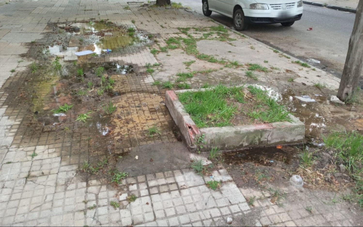 Reclaman por un caño roto a metros de Plaza Malvinas