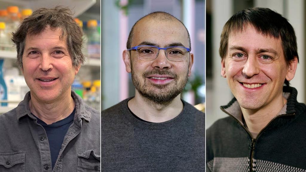 Nobel de Química: premian el estudio de proteínas con IA