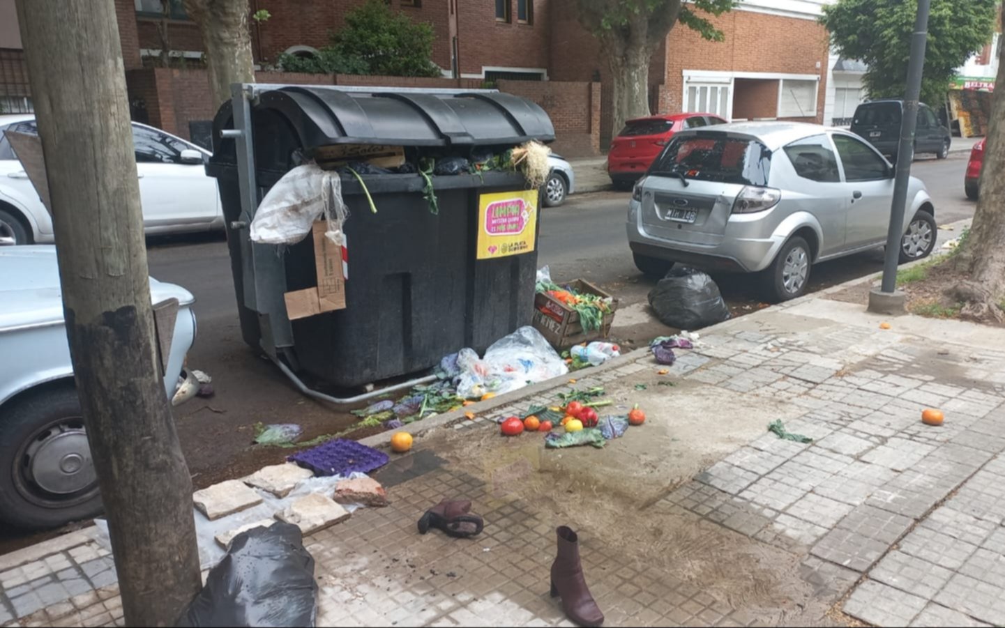 "Se hace insostenible", la queja de vecinos por un contenedor de basura "explotado"