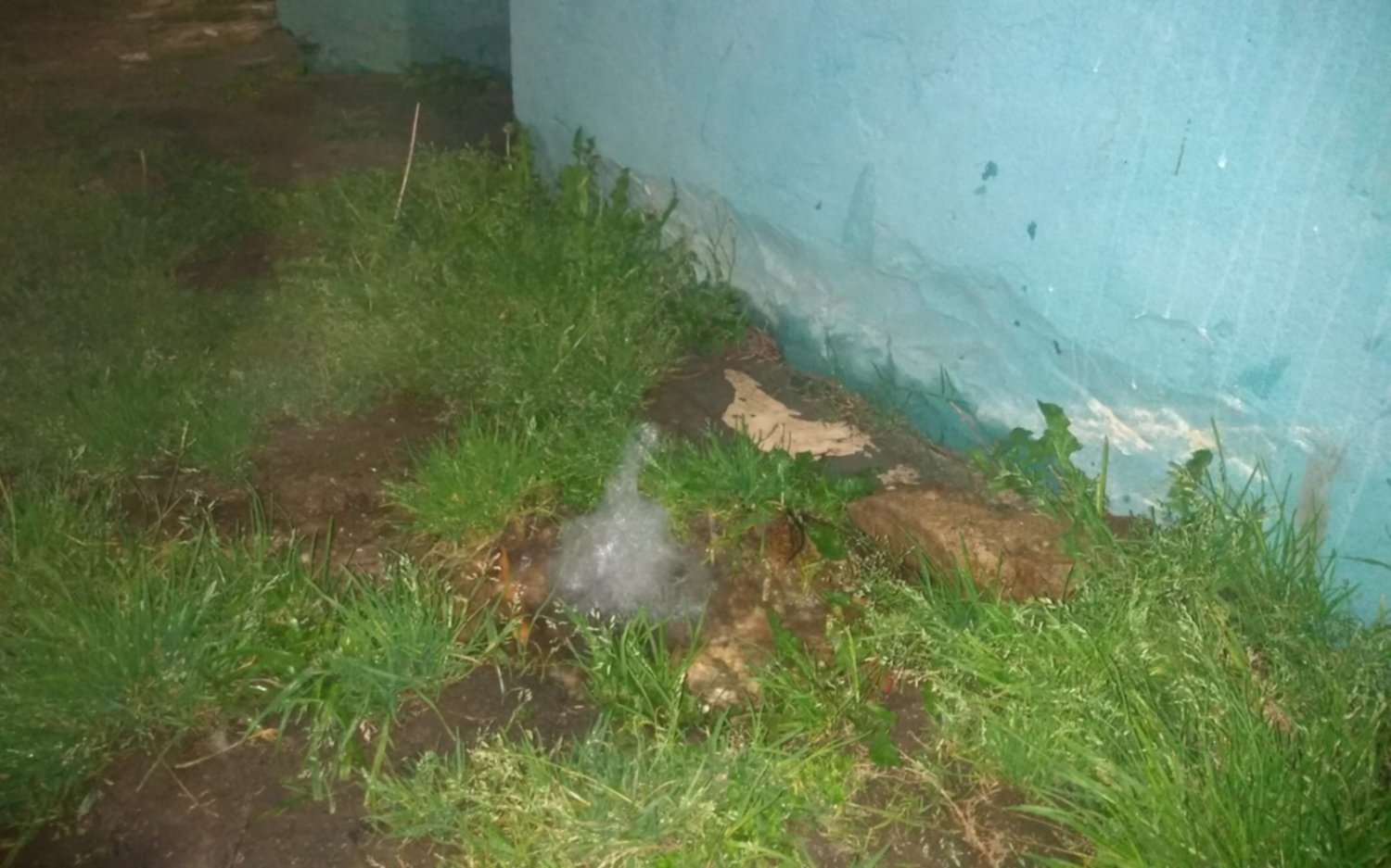 Una pérdida de agua que "brota" en La Plata